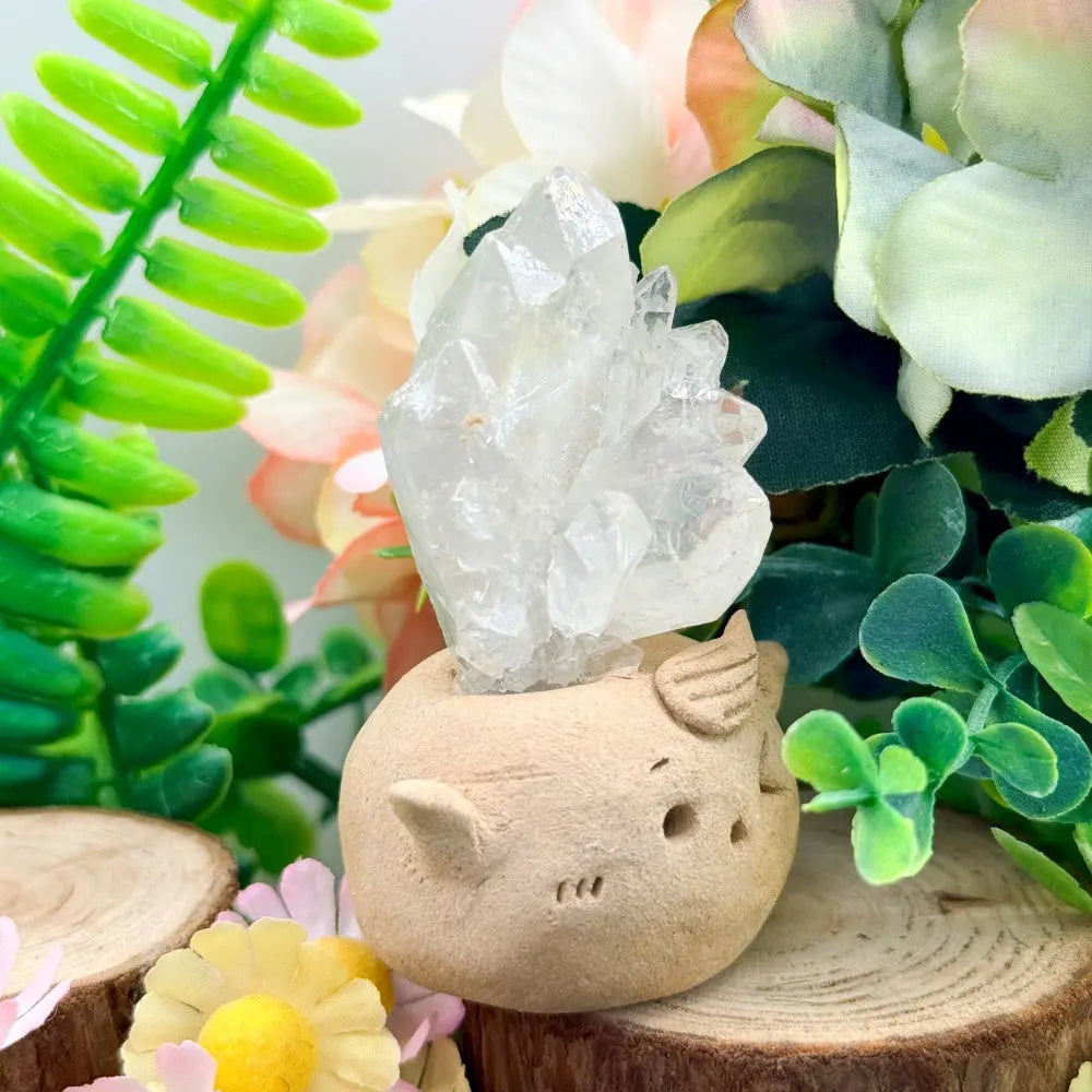 Clear Quartz Crystal Pet A Light and Soothing Little Companion Shinepurity