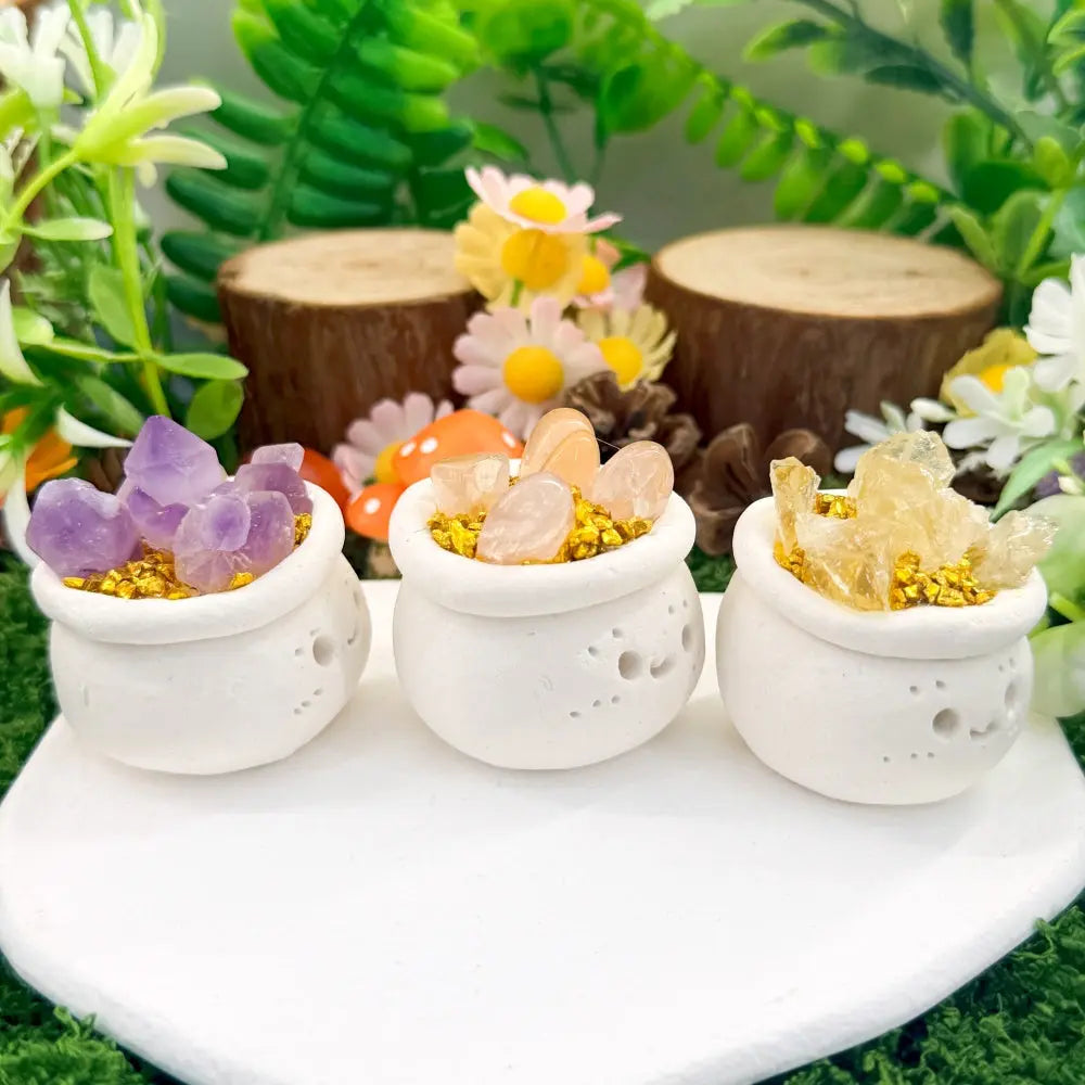 Three Crystal Flower Pot Pet A Touch of Natural Color for Everyday Shinepurity