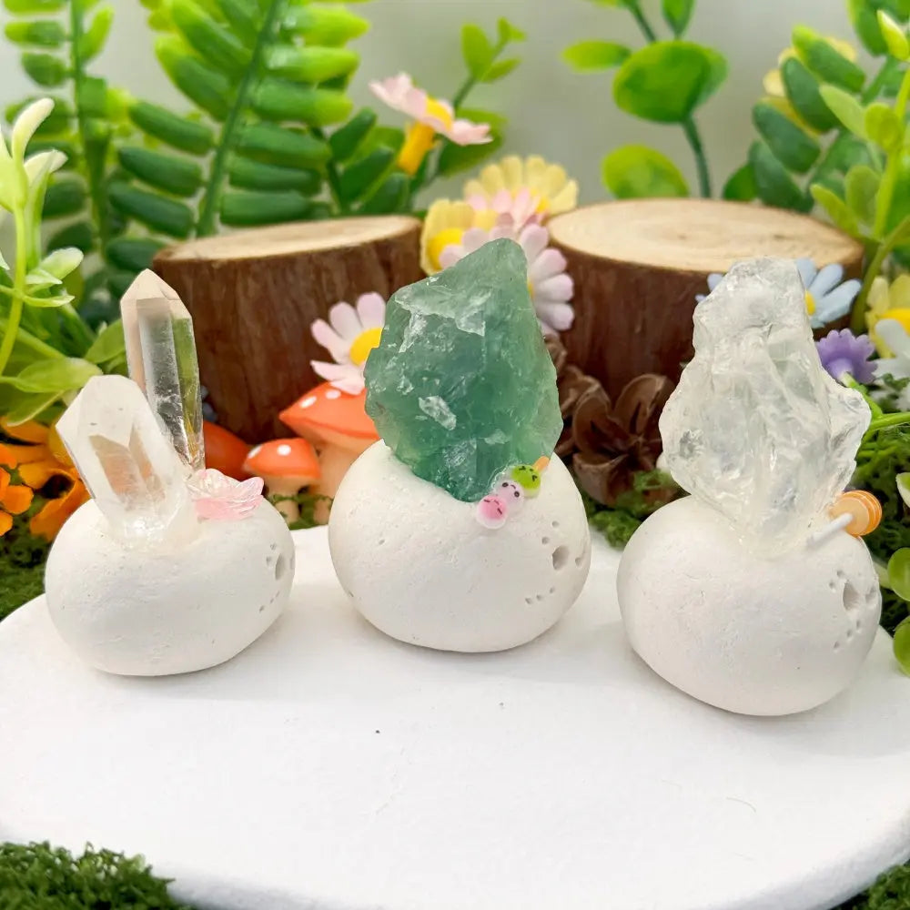 Crystal Pets That Help You Slow Down Shinepurity