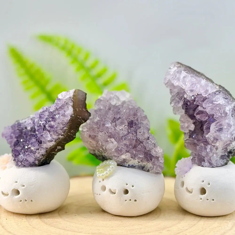 Mood-Soothing Amethyst Crystal Pet Shinepurity
