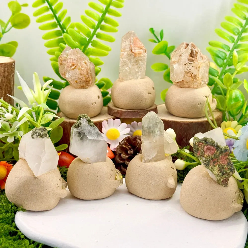 Skeleton Quartz × Epidote Quartz Healing Crystal Pet Shinepurity