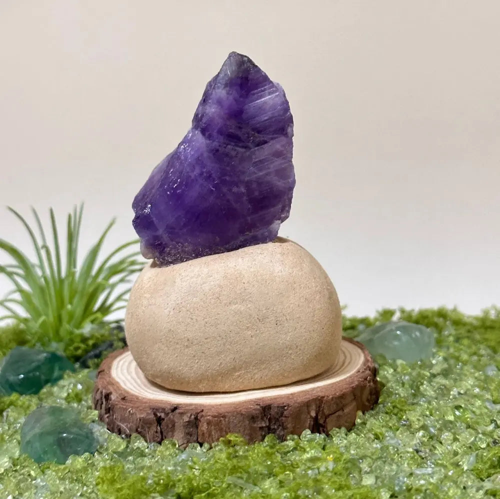 Customize | 12 Zodiac Crystal Buddies for Daily Companionship & Comfort Shinepurity