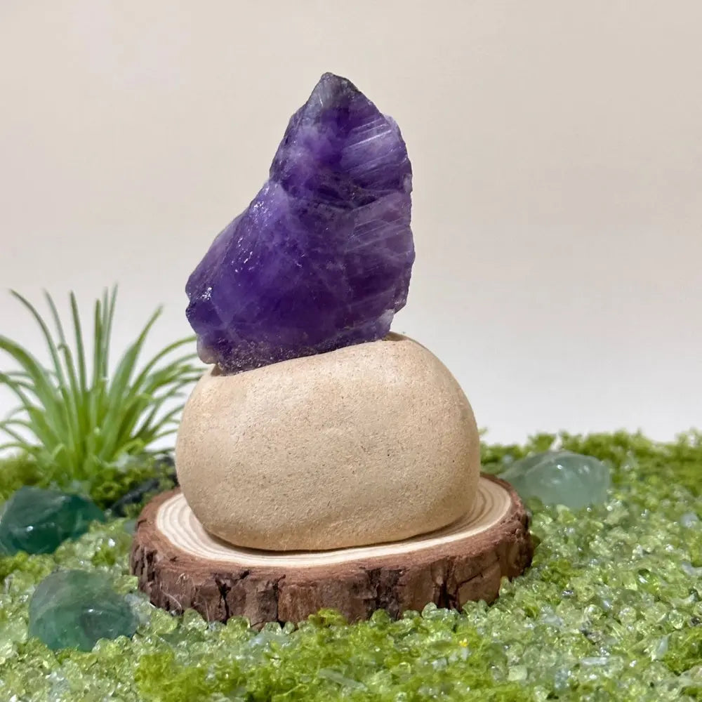 Customize | 12 Zodiac Crystal Buddies for Daily Companionship & Comfort Shinepurity