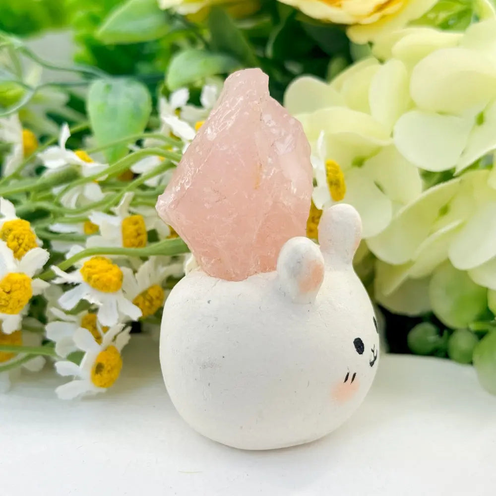 Simple Yet Warm Rose Quartz Crystal Pet Shinepurity