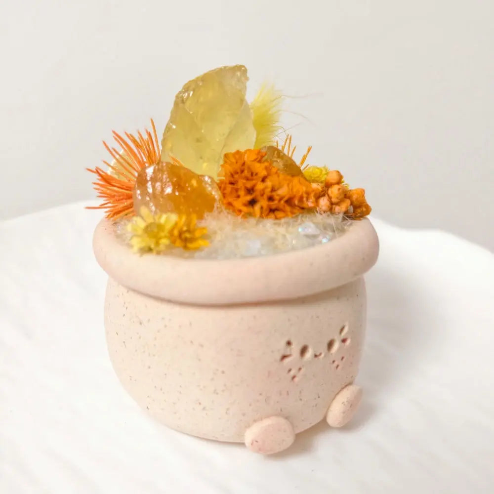 Sunshine Series Two-Tone Citrine Crystal Pet Planter Shinepurity