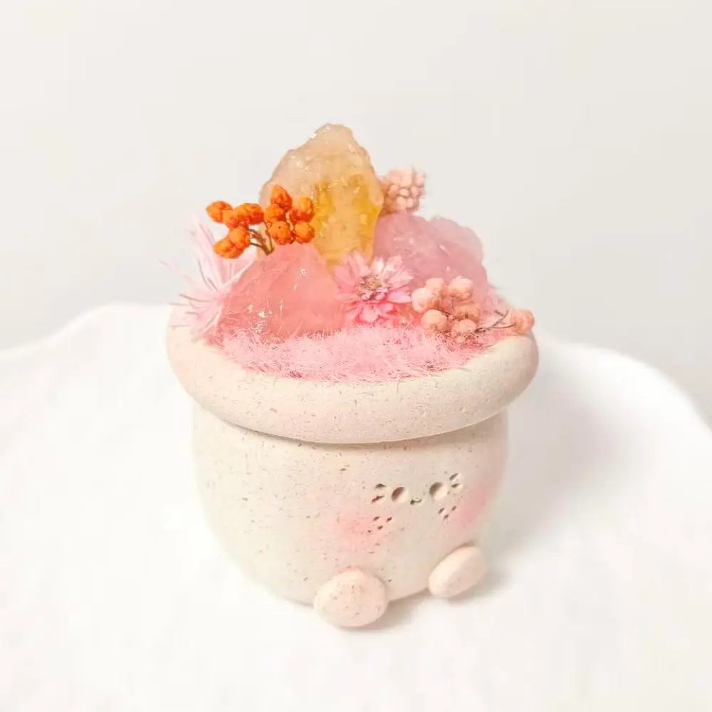 Soft Light Series Rose Quartz & Citrine Crystal Pet Planter Shinepurity