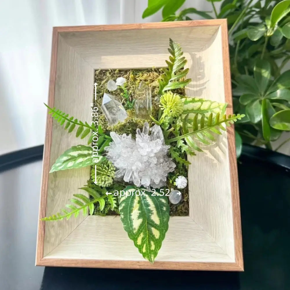 Designer Limited Edition | A Crystal Garden Hidden in the Forest Shinepurity