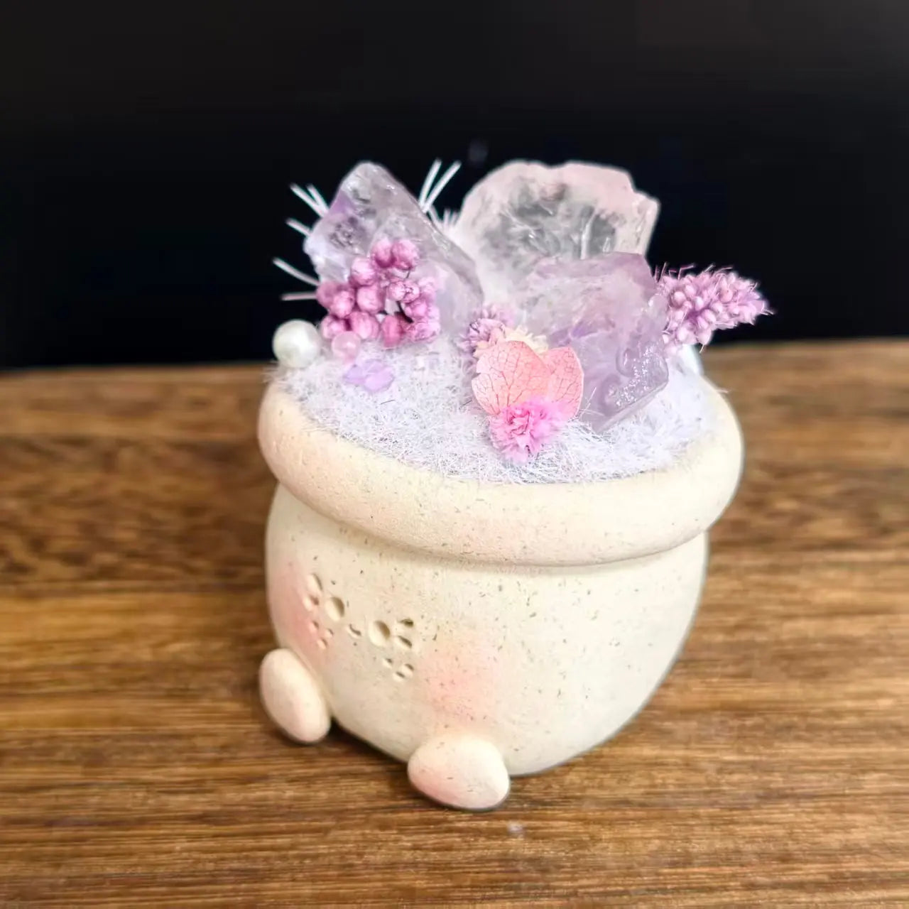 Two-Tone Amethyst Crystal Pet Planter for Soft Everyday Moments Shinepurity