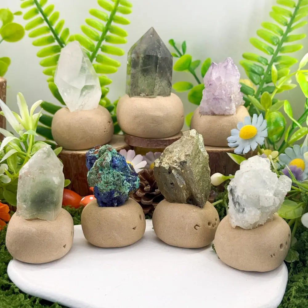 Quietly Companion Crystal Pets Shinepurity
