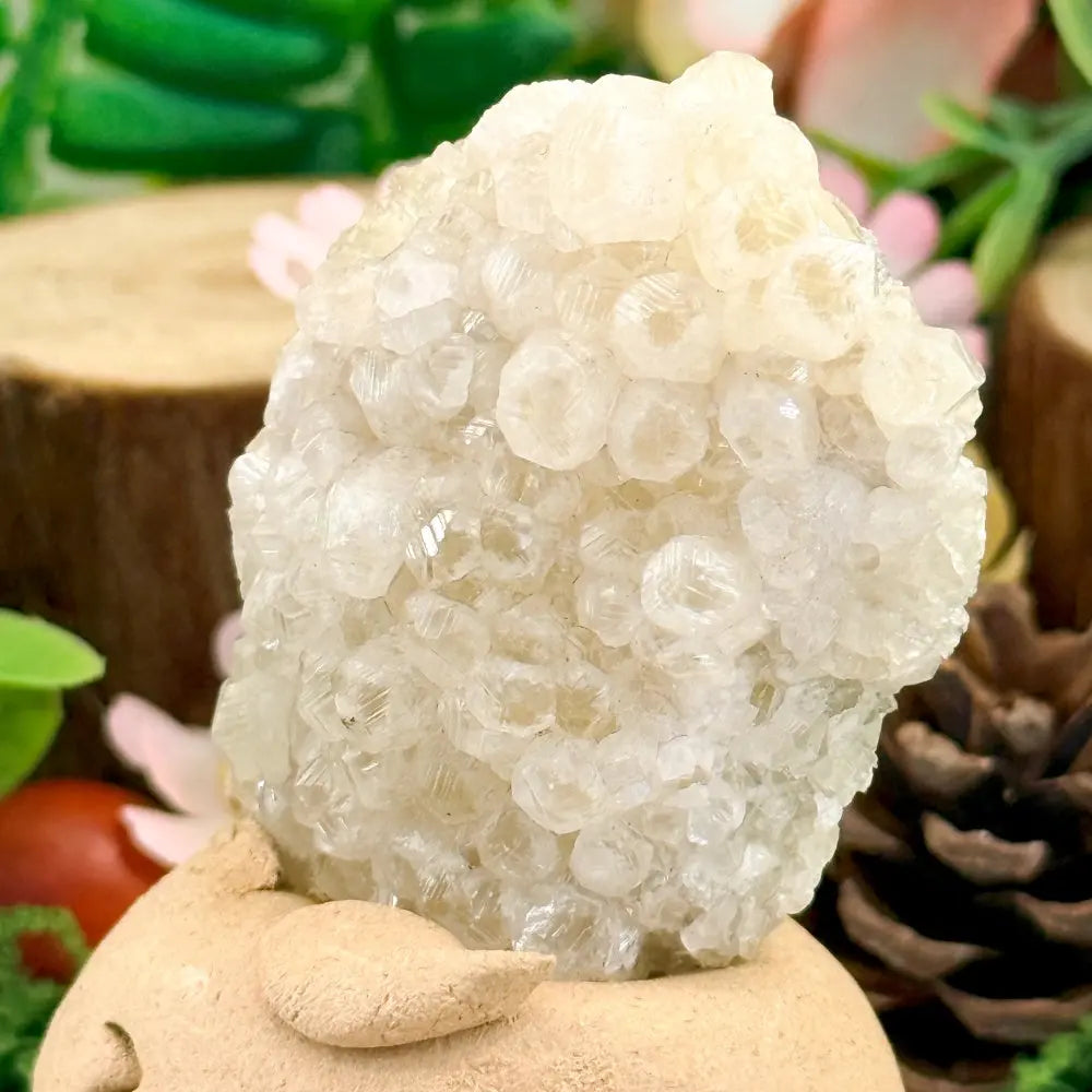 Fluorite Crystal Pet A Little Moment of Quiet Relaxation Shinepurity