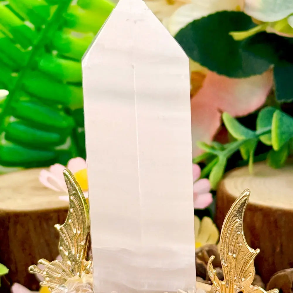 Rose Quartz Crystal Pet A Quiet Little Corner That Glows Shinepurity