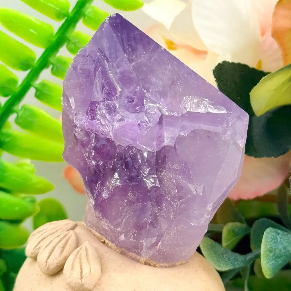 Amethyst Crystal Pet A Quiet Moment of Relaxation Shinepurity