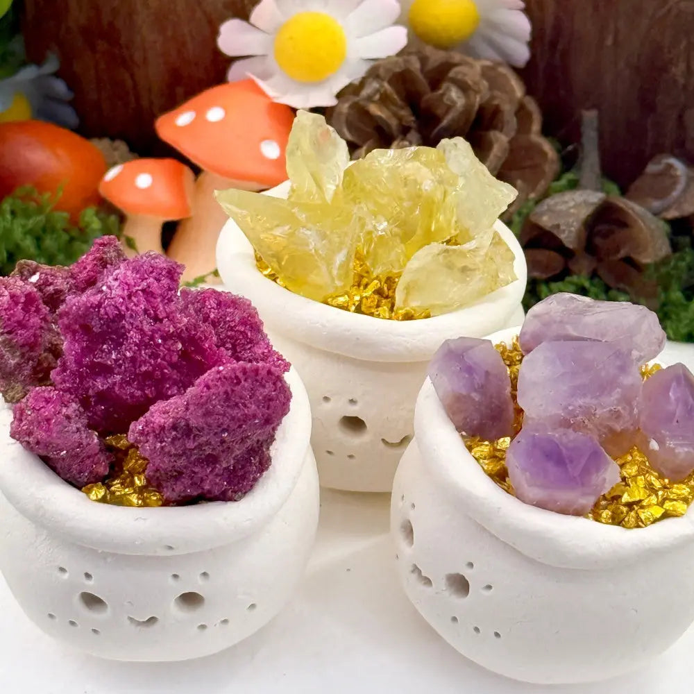A Little Softness for Your Desk Crystal Pet Planter Shinepurity