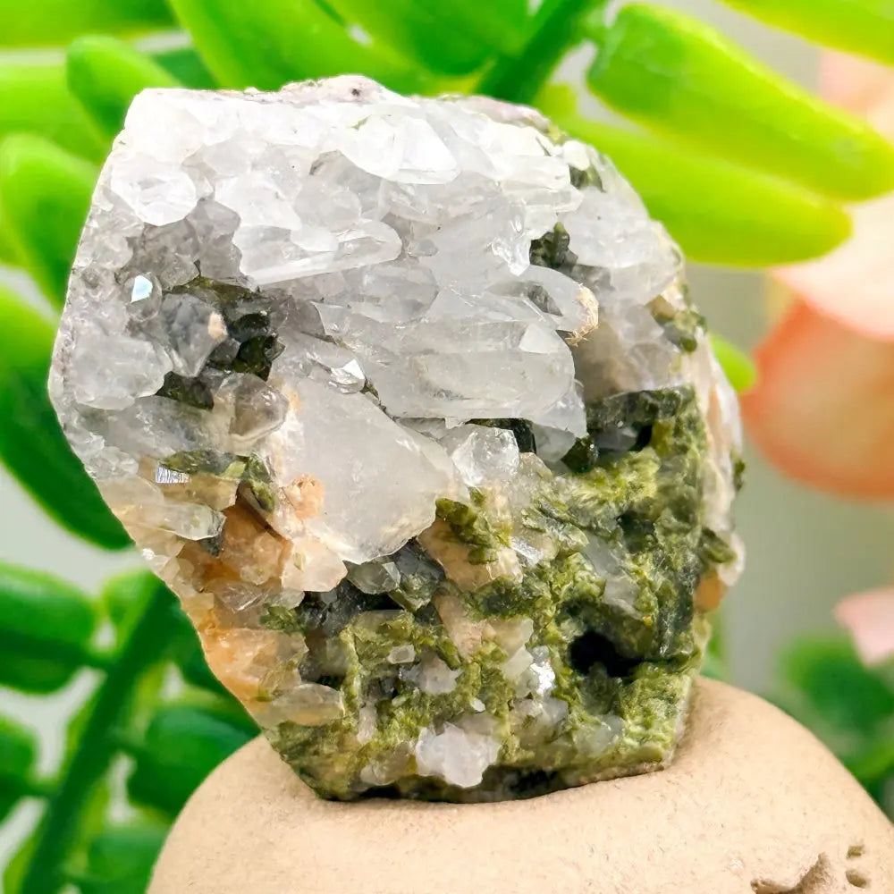 Epidote Quartz Crystal Pet A Touch of Forest Softness for Your Desk Shinepurity