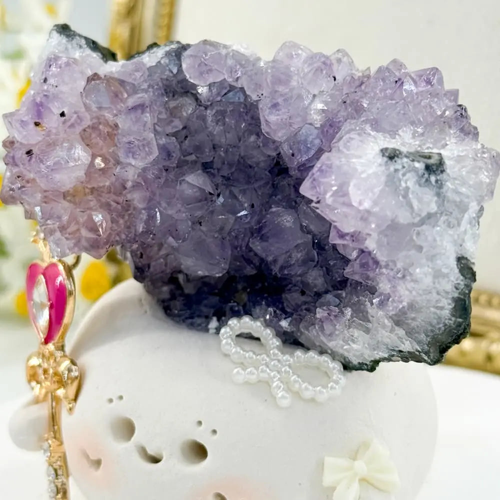Amethyst Crystal Pet A Tiny Buddy Nestled in Amethyst Shinepurity