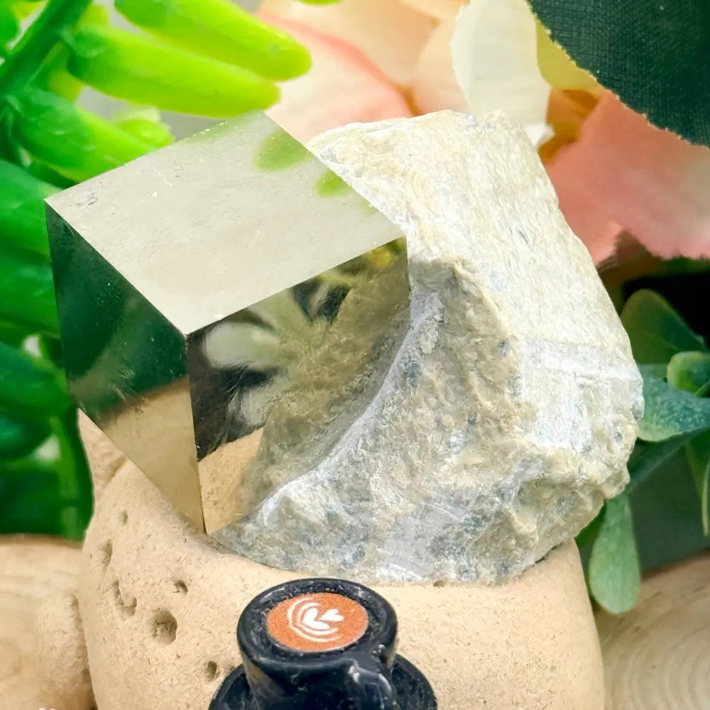 Pyrite Cube Crystal Pet A Small Presence with Calm Strength Shinepurity