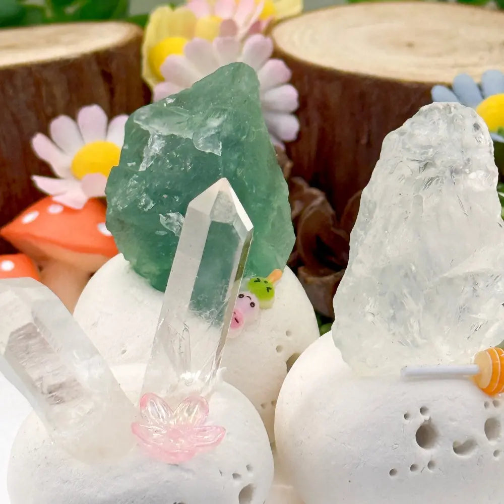 Crystal Pets That Help You Slow Down Shinepurity