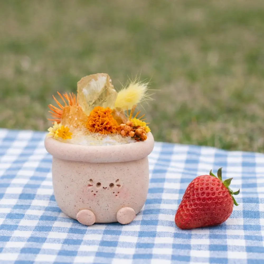 Sunshine Series Two-Tone Citrine Crystal Pet Planter Shinepurity