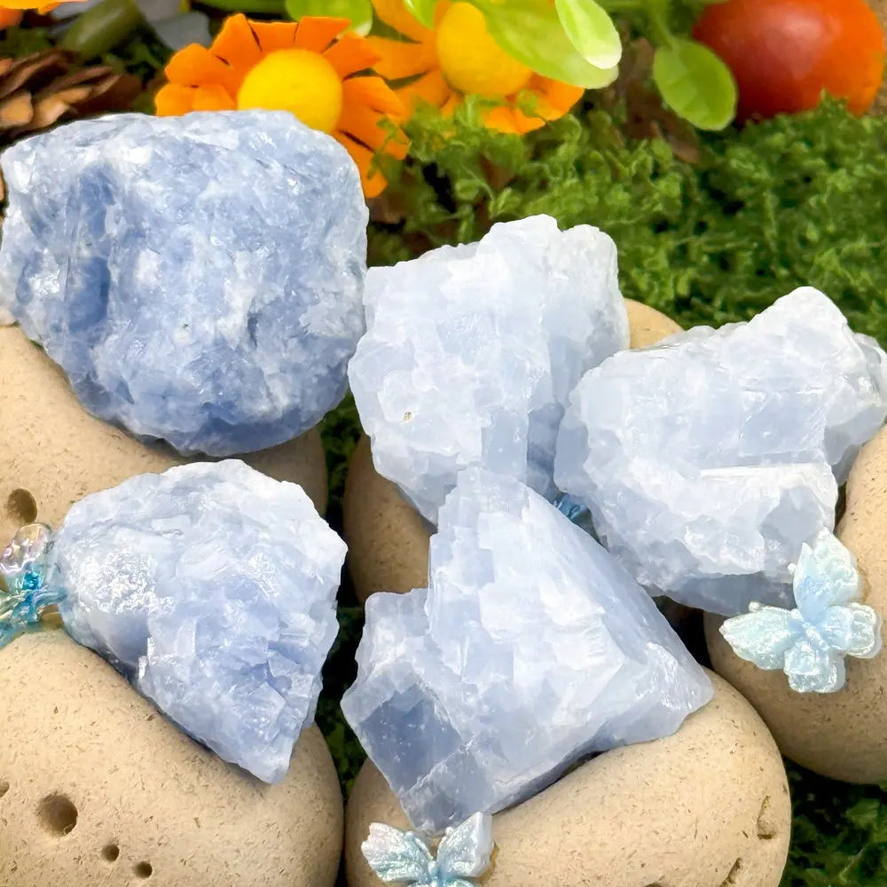 Blue Kyanite Crystal Pet for Cooling the Mind Shinepurity