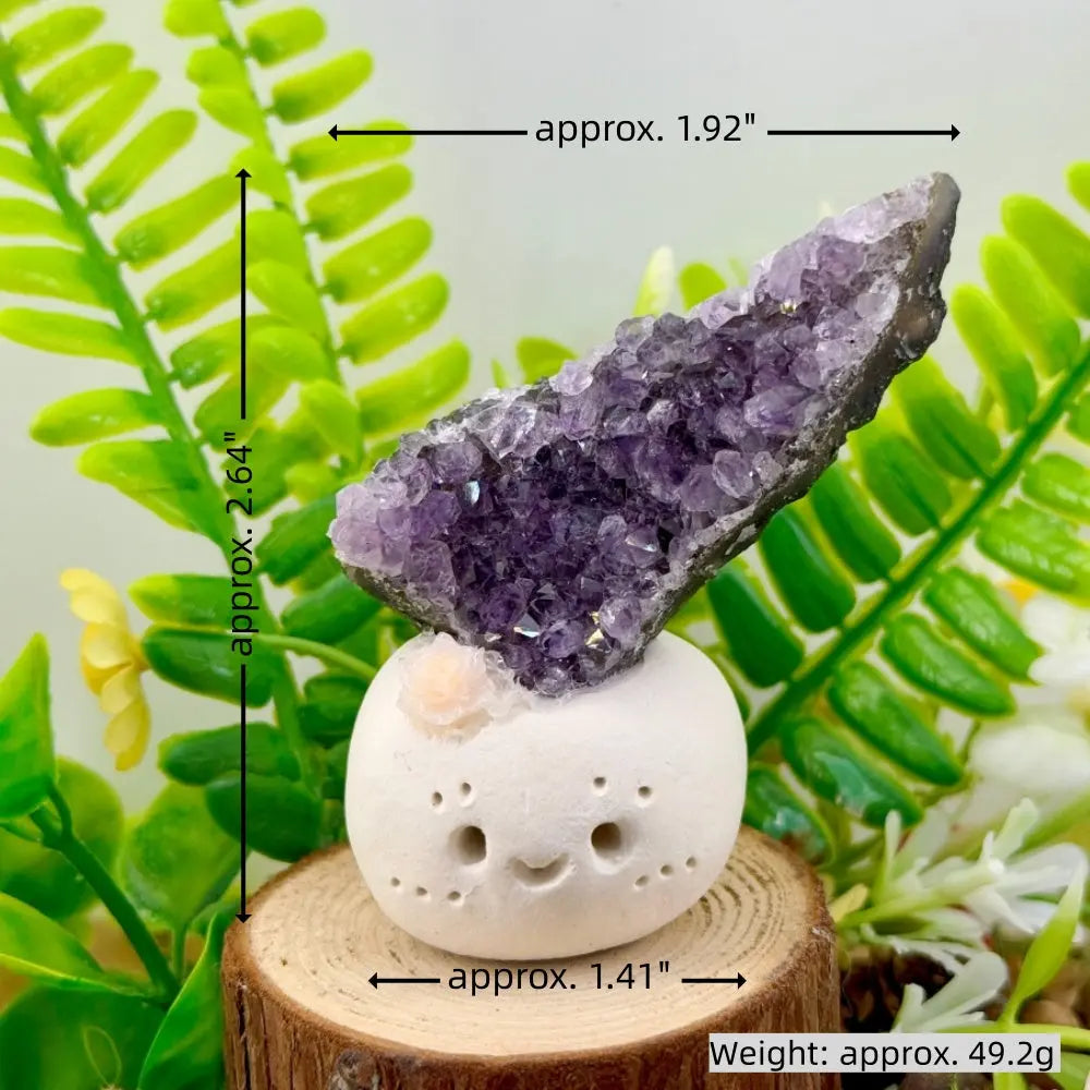 Mood-Soothing Amethyst Crystal Pet Shinepurity