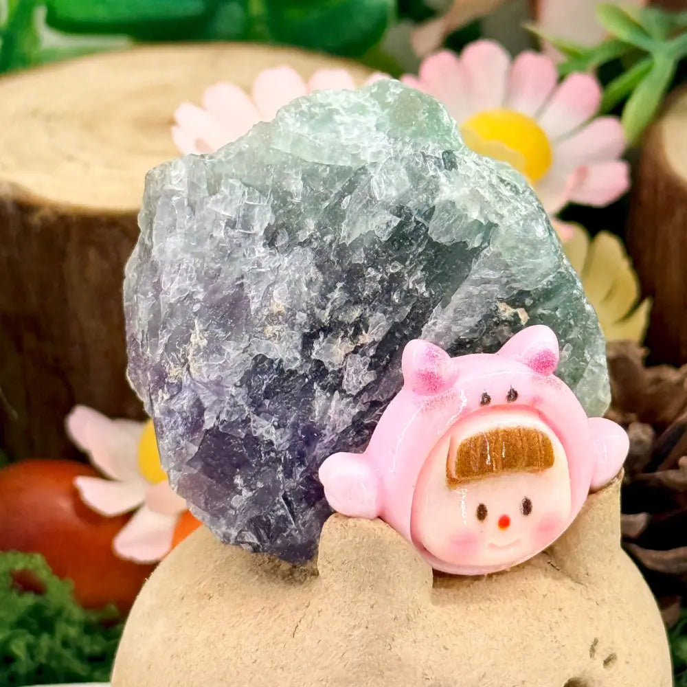 Gemini Fluorite Crystal Pet | Bringing Clarity and Balance to Your Active Mind Shinepurity