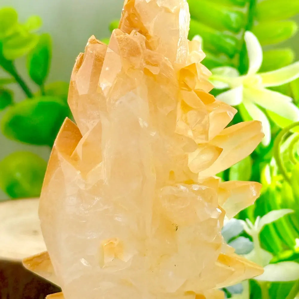 Mood-Brightening Yellow Calcite Healing Crystal Pet Shinepurity