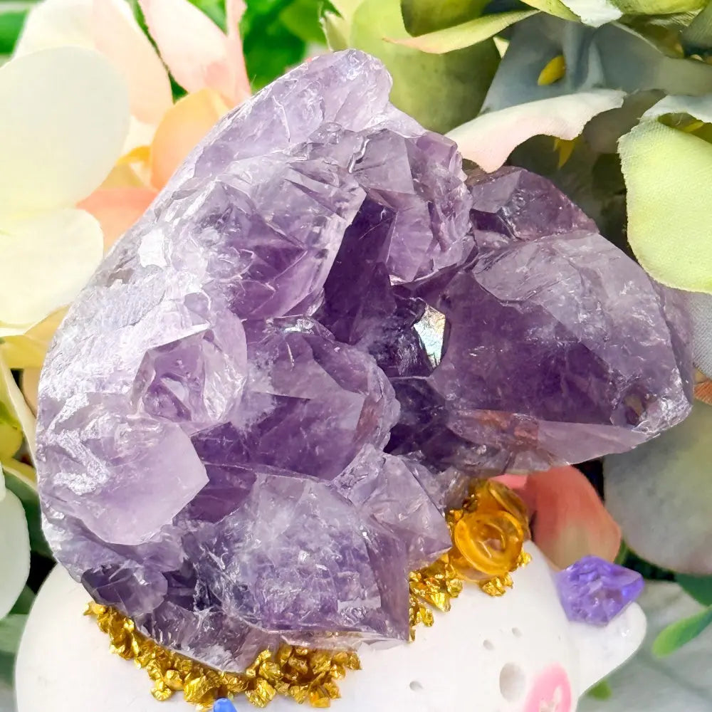 Amethyst Crystal Pet Bring Ease to Everyday Shinepurity