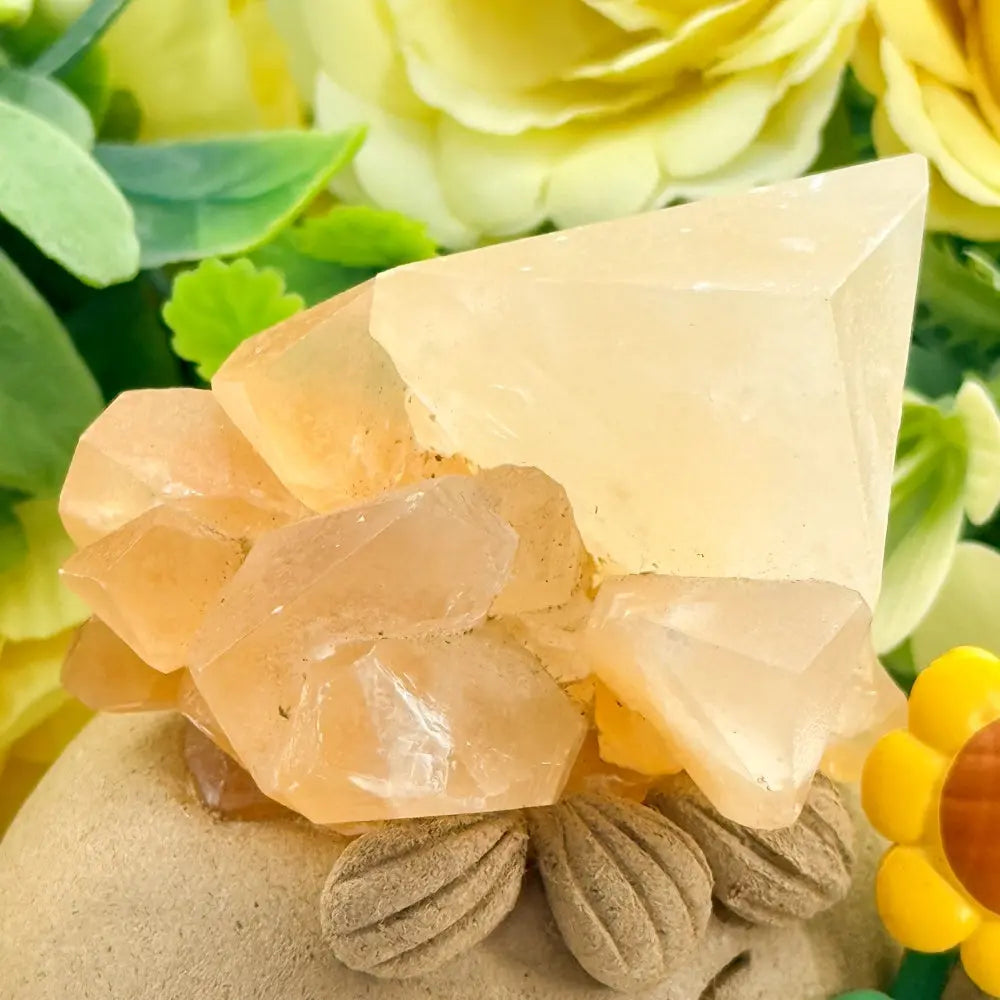Red Calcite Crystal Pet – Warm and Energizing Presence Shinepurity