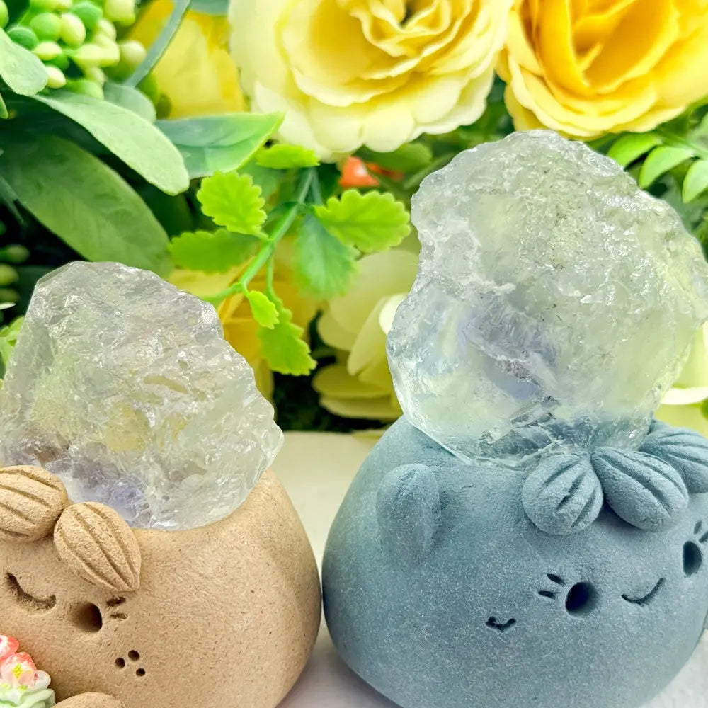 Fluorite Crystal Pet – A Clear and Delicate Accen Shinepurity