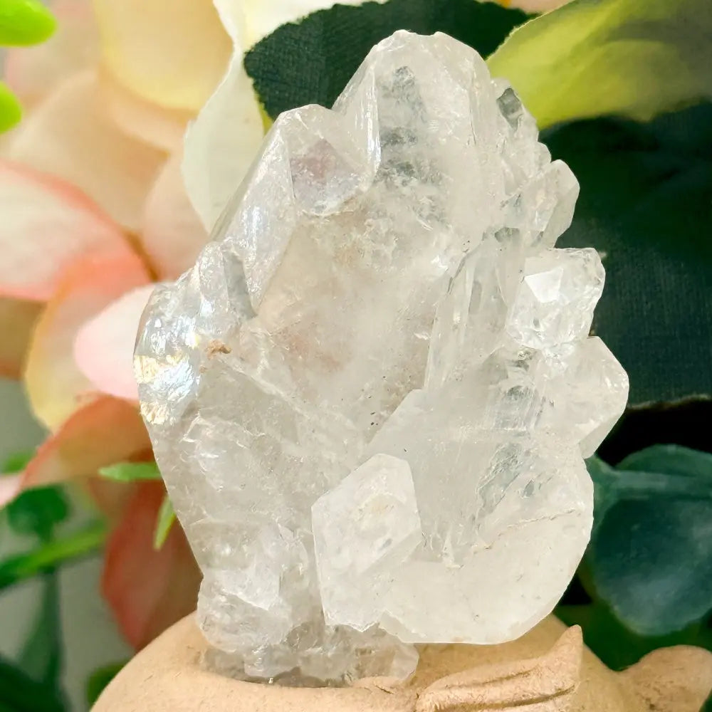 Clear Quartz Crystal Pet A Light and Soothing Little Companion Shinepurity