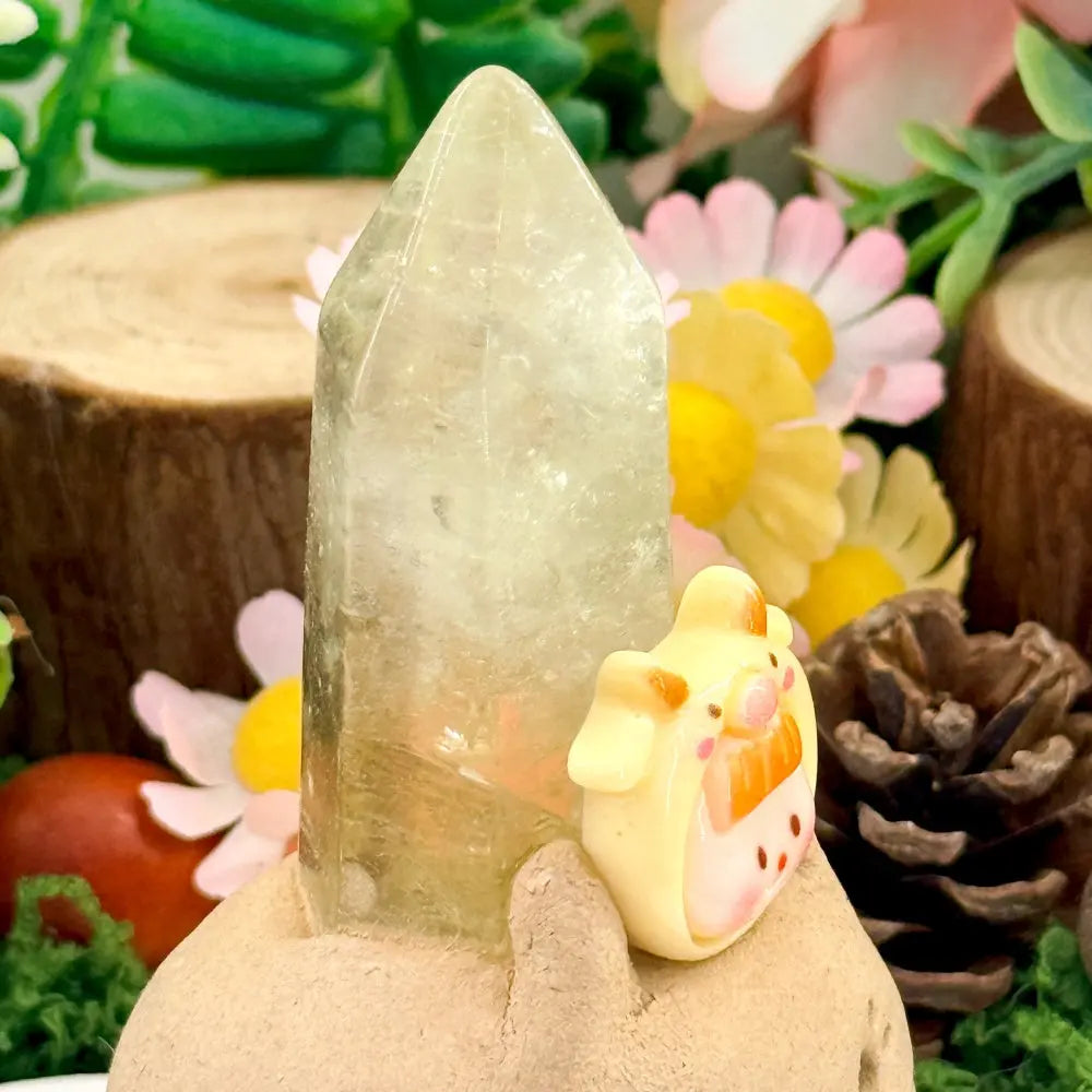 Taurus Citrine Crystal Pet | Bring Warmth and Stability into Your Everyday Shinepurity