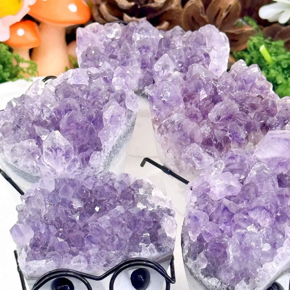 Adorable Glasses Kid Amethyst Crystal Pet Shinepurity