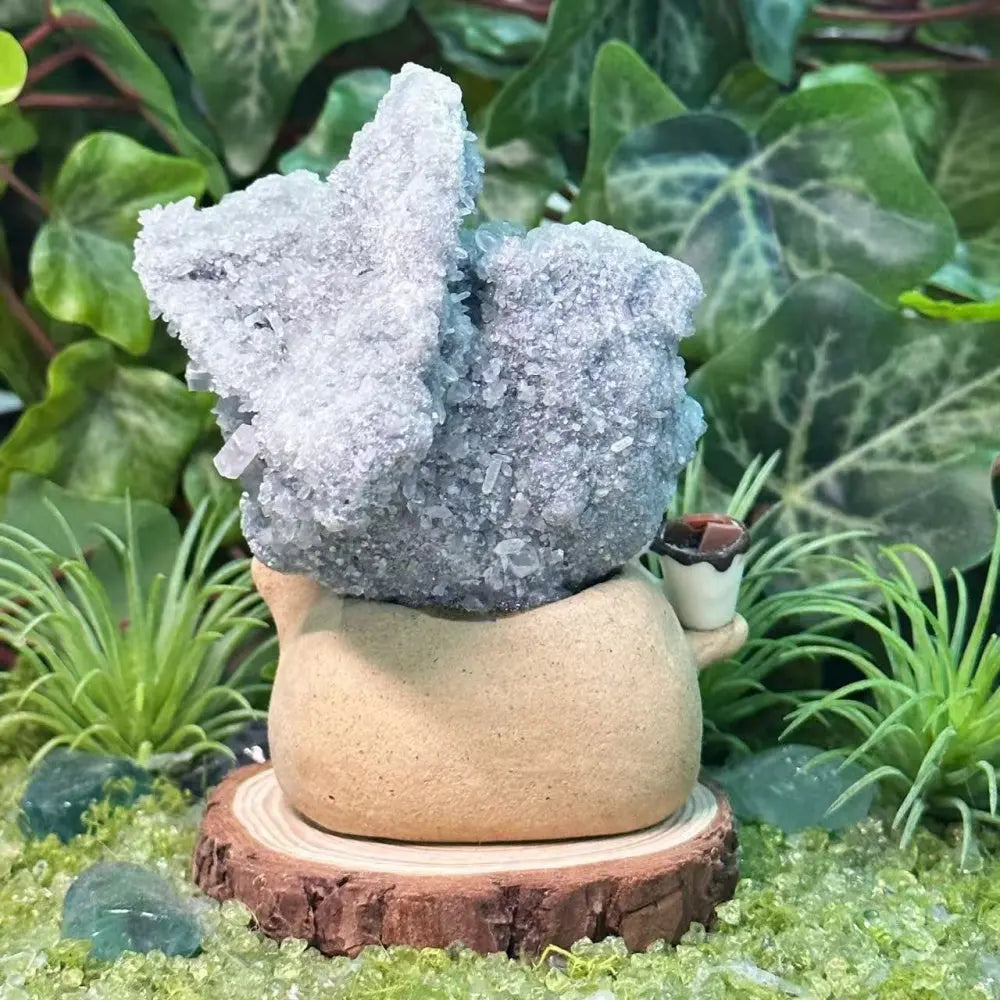 Green Fluorite Intergrowth Crystal Pet Shinepurity
