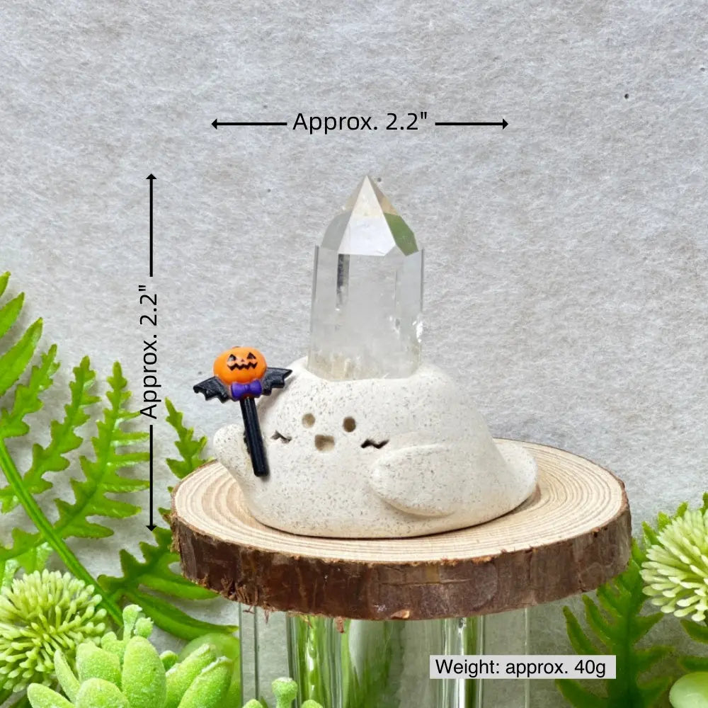 Designer Limited Edition| Halloween Clear Quartz Crystal Pet Carrying Protection and Blessings Shinepurity