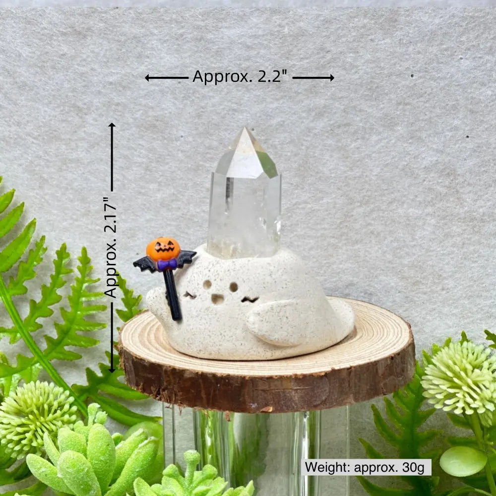 Designer Limited Edition| Pure Energy Gift Clear Quartz Ghost Crystal Pet Shinepurity