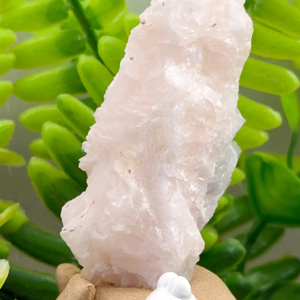 Gentle Guardian Rose Calcite Fluorite Crystal Pet Shinepurity