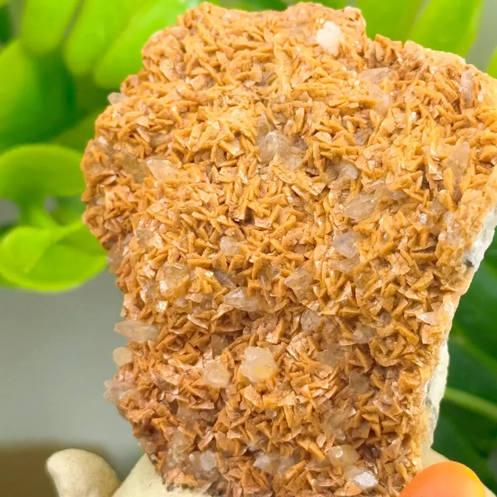 Little Guardian of Hope and Warmth Yellow Calcite Crystal Pet Shinepurity