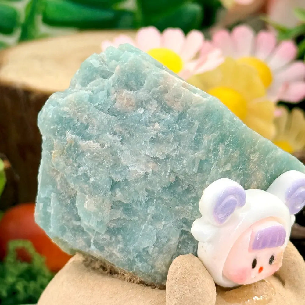 Aries Amazonite Crystal Pet | Infusing Gentle Strength into Your Courage Shinepurity