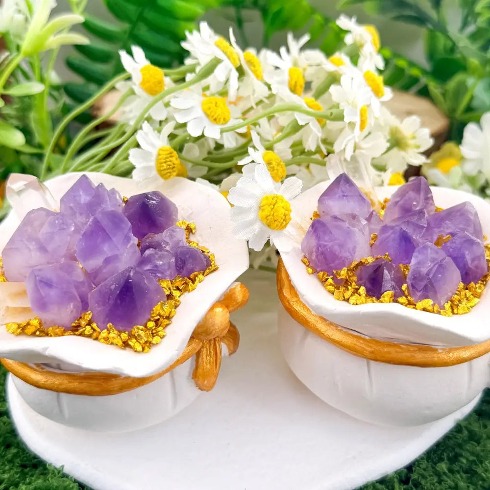 A Soft Amethyst Crystal Pot Pet for Your Desk Shinepurity