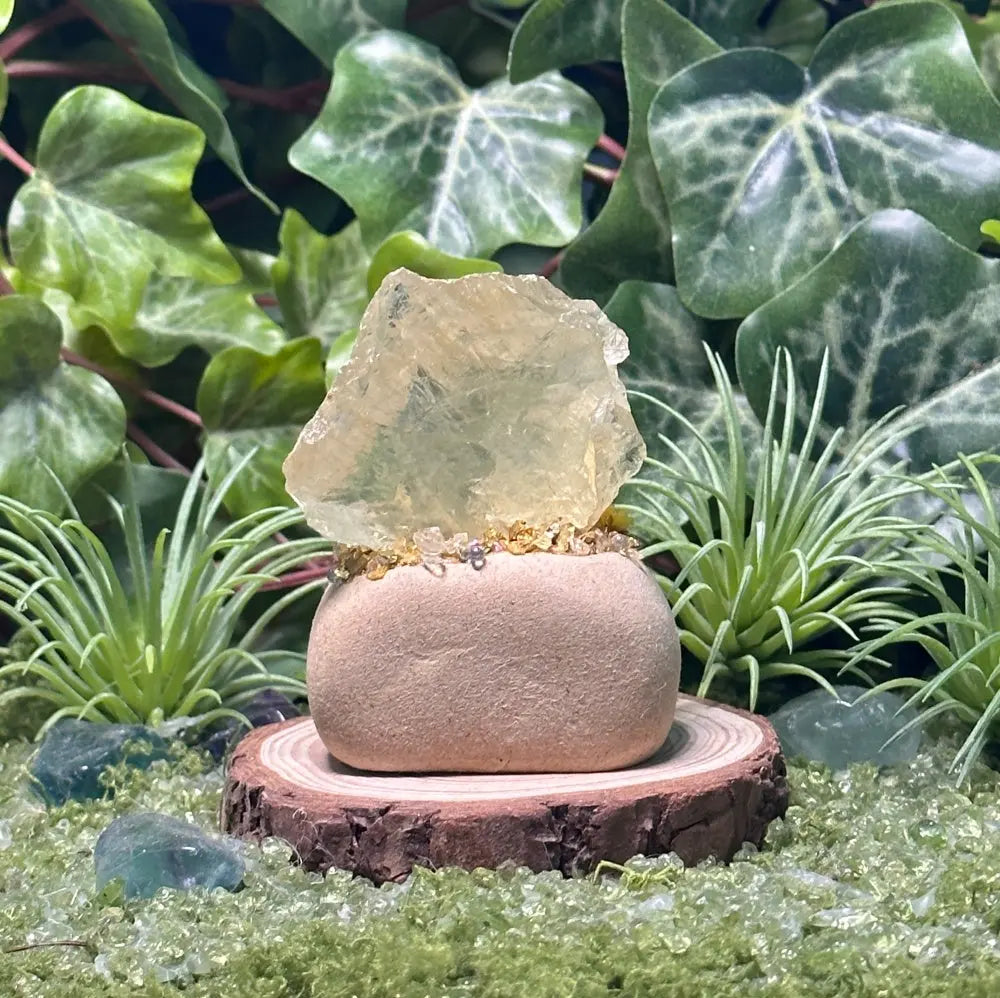Customize | Taurus Citrine Crystal Pet A Little Piece of Slow Living Shinepurity