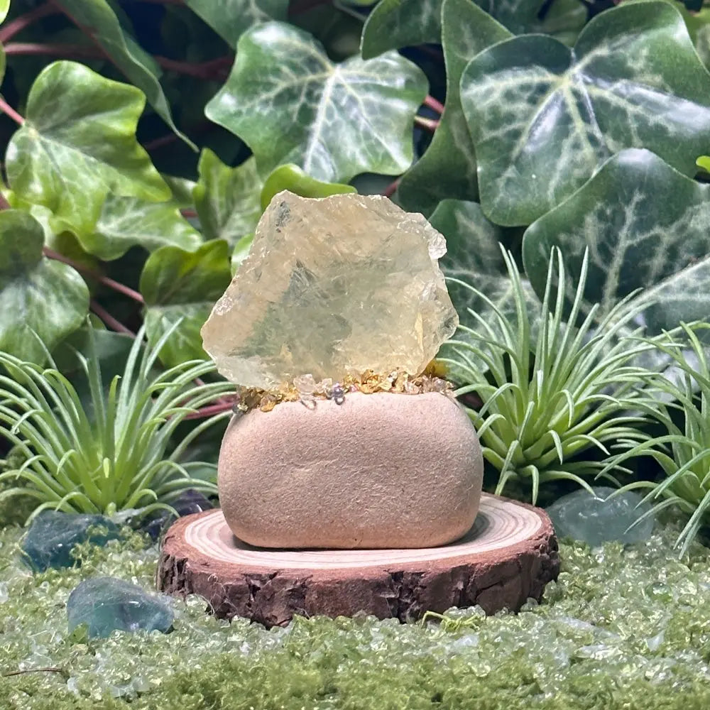 Customize | Taurus Citrine Crystal Pet A Little Piece of Slow Living Shinepurity