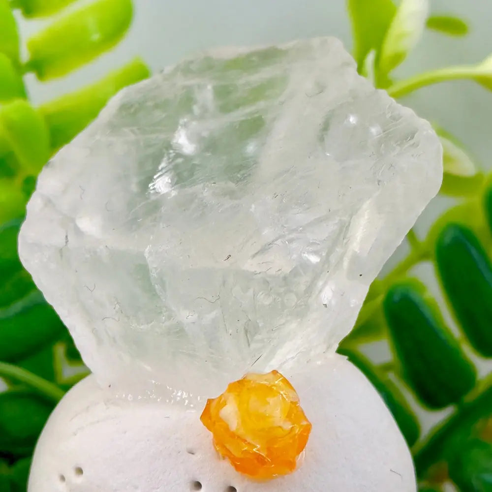 Clear Light Clear Quartz Crystal Pet Shinepurity