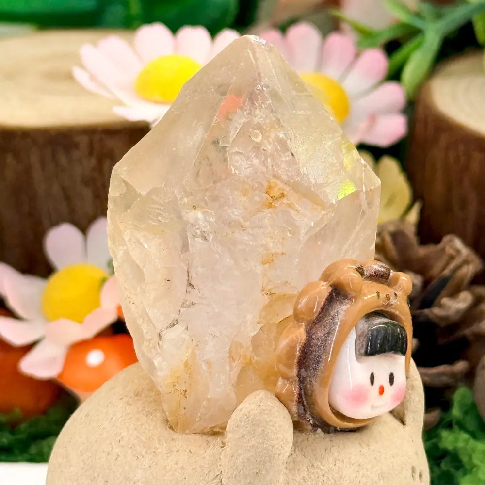 Leo Red Skeletal Quartz Crystal Pet | Awaken Your Inner Strength Shinepurity