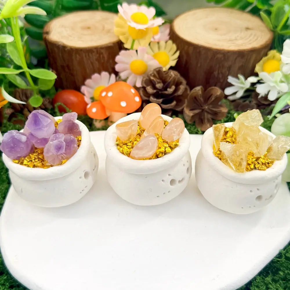 Three Crystal Flower Pot Pet A Touch of Natural Color for Everyday Shinepurity