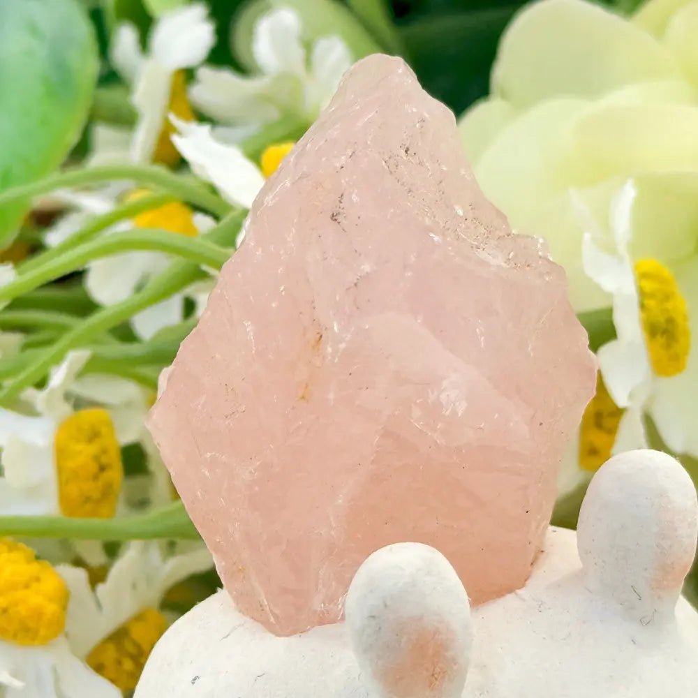 Simple Yet Warm Rose Quartz Crystal Pet Shinepurity