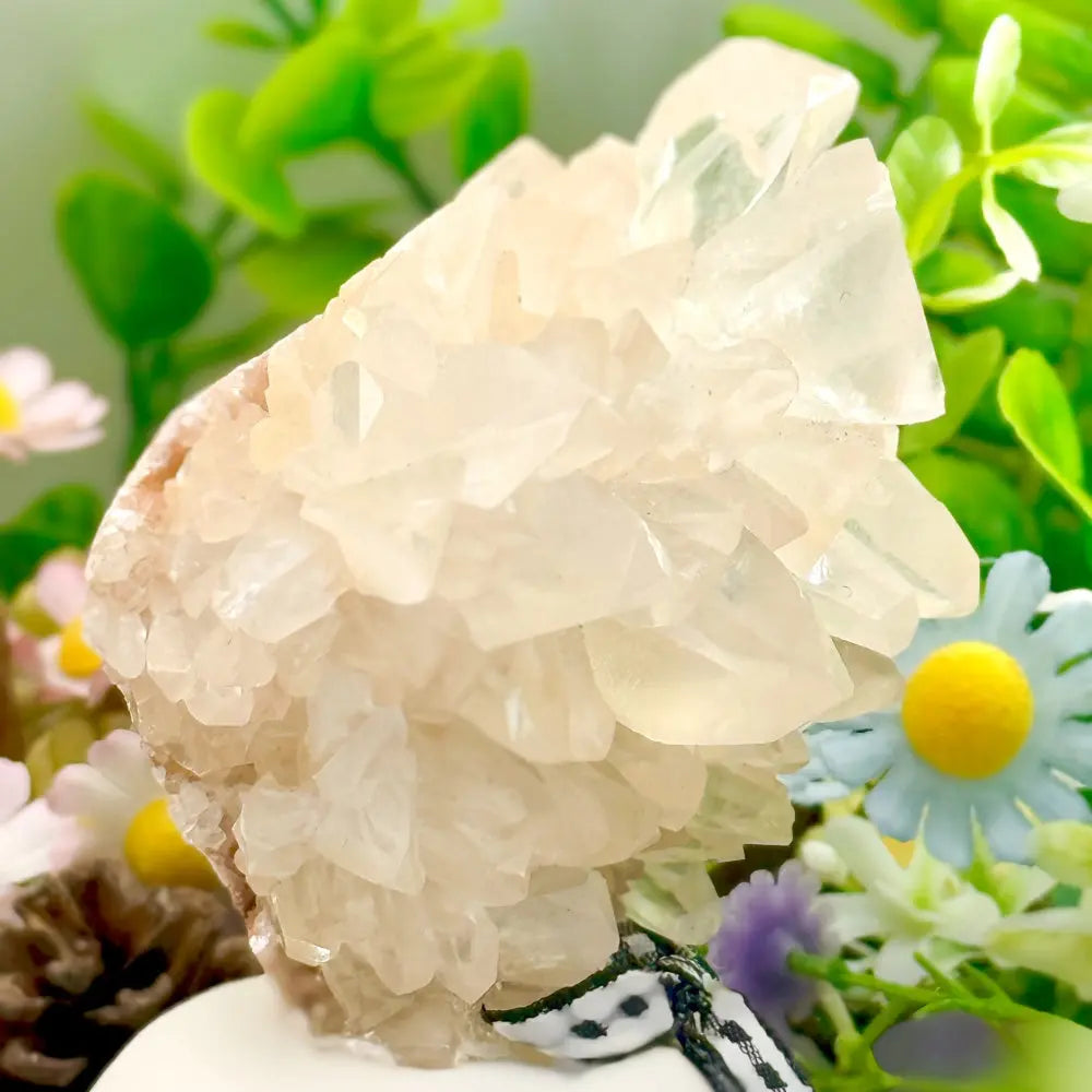 White Calcite Crystal Pet for Clearing the Heart and Mind Shinepurity