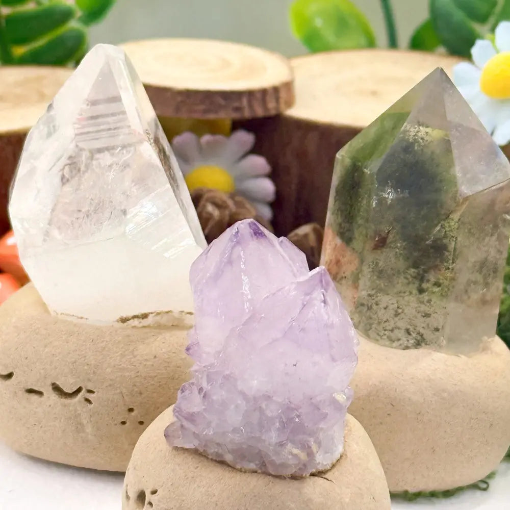 Quietly Companion Crystal Pets Shinepurity