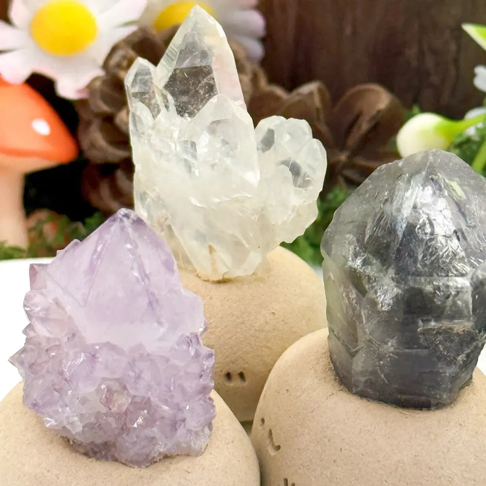 Calm Corner Crystal Pet Shinepurity