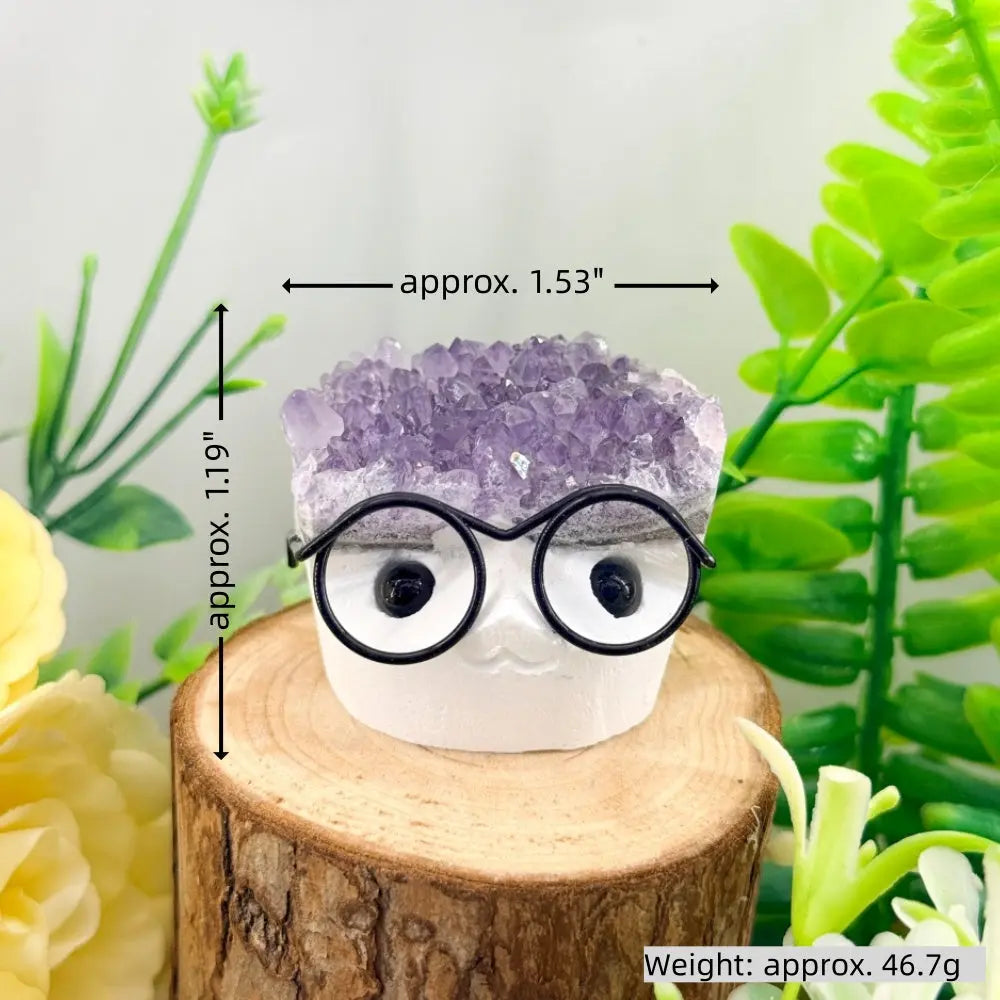 Adorable Glasses Kid Amethyst Crystal Pet Shinepurity