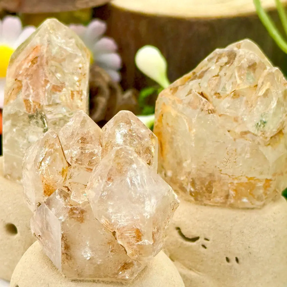 Skeleton Quartz × Epidote Quartz Healing Crystal Pet Shinepurity